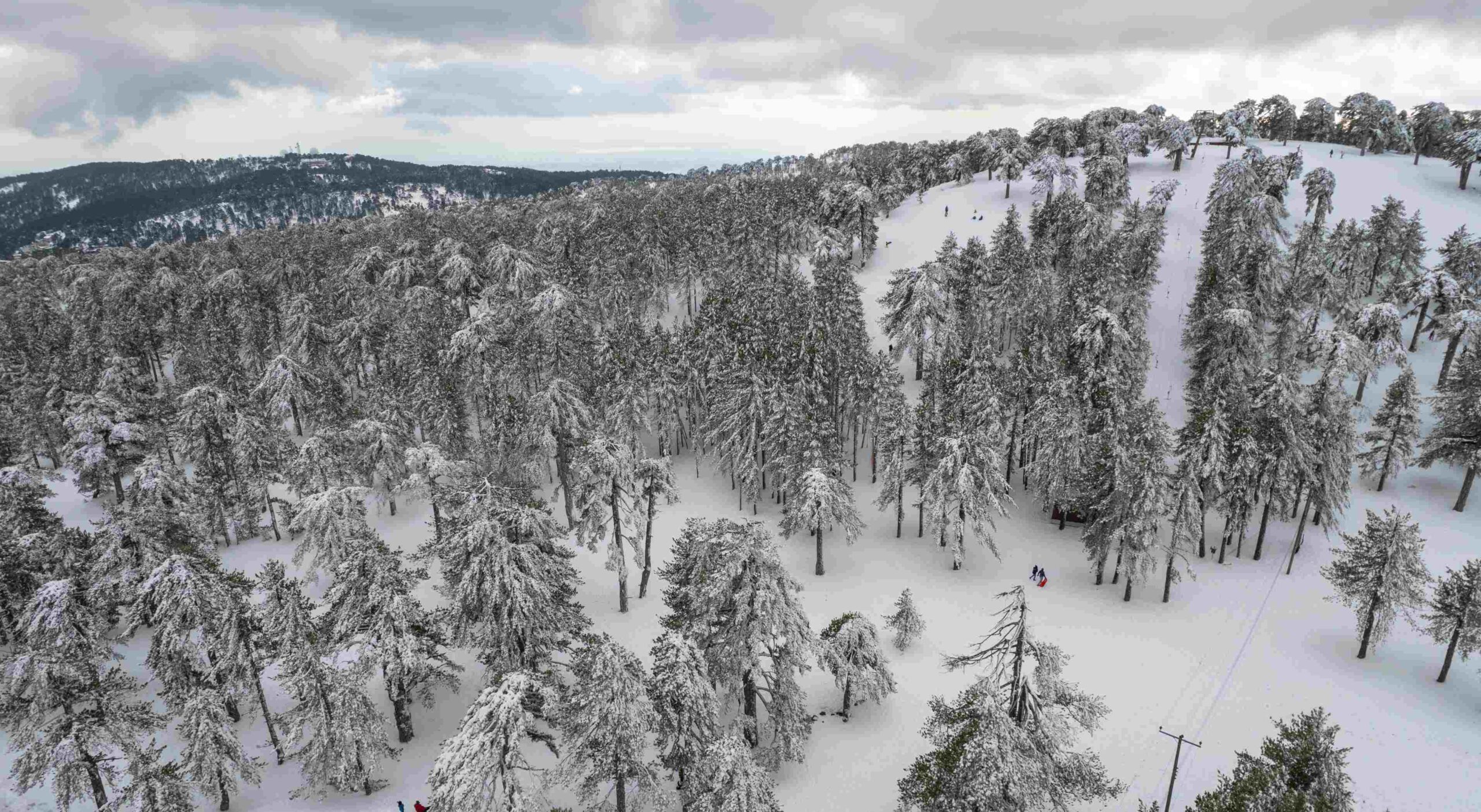 drone aerial scenery of mountain snowy forest land 2023 11 27 05 32 31 utc