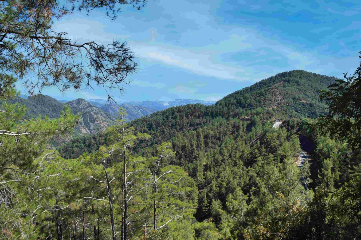 mountain valley landscape in cyprus on a sunny sum 2023 11 27 04 51 56 utc (1)